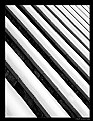 Picture Title -  REPETITION