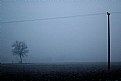 Picture Title - foggy