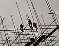Picture Title - workers...