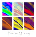 Picture Title - Fleeting Memory