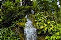 Picture Title - Waterfall Feature