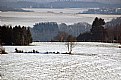 Picture Title - winter field