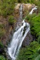 Picture Title - Steavenson's Falls