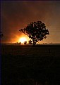 Picture Title - Bushfire