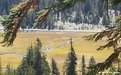 Picture Title - Lassen Park