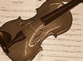 Picture Title - Violin 1