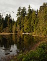 Picture Title - Beaver Lake