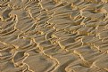 Picture Title - Sand Ripples.