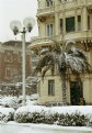 Picture Title - Palme Innevate