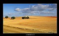 Picture Title - Alentejo