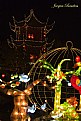 Picture Title - chinese lanterns 30