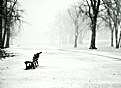 Picture Title - Lonely Benches