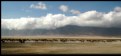 Picture Title - Ngorongoro panorama 6