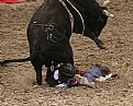 Picture Title - Oakland PBR 2-10-06