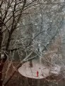 Picture Title - snow 11B