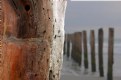 Picture Title - Groynes- weathering the storm
