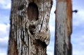 Picture Title - Groynes- all seeing eye