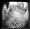 Picture Title - Infrared HOLGA