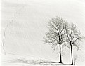 Picture Title - Family on the snow