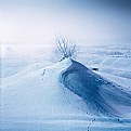 Picture Title - Trails on the snowy desert