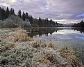 Picture Title - Frost Loch Ard