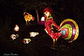 Picture Title - chinese lanterns 31