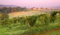 Picture Title - Tuscan sunrise