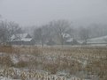 Picture Title - Misty Morning - Whistling Hill Farm, Maryland