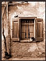 Picture Title - Old windows