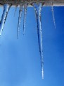 Picture Title - Icicles