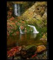 Picture Title - Autumn waterfall