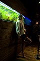 Picture Title - fish tank glow