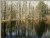 On the Pond