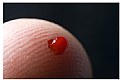 Picture Title - Pinprick