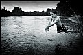 Picture Title - River Swimmer