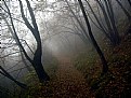 Picture Title - Wrong Way