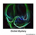 Picture Title - Orchid Mystery