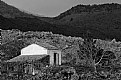 Picture Title - Etna's landscape