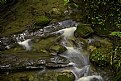 Picture Title - Rapids and logs