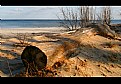 Picture Title - log 2