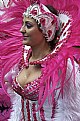 Picture Title - Fucsia