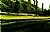 GREEN SHADOWES