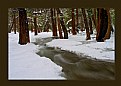 Picture Title - merced river