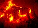 Picture Title - Burning horse??