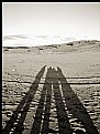 Picture Title - Shadows