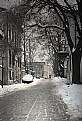 Picture Title - Lonely Winter