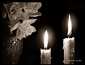 Picture Title - Amaryllis & Candles