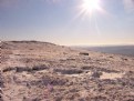 Picture Title - Great Whernside in the Snow