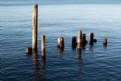 Picture Title - Afternoon Pilings