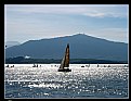 Picture Title - Regata